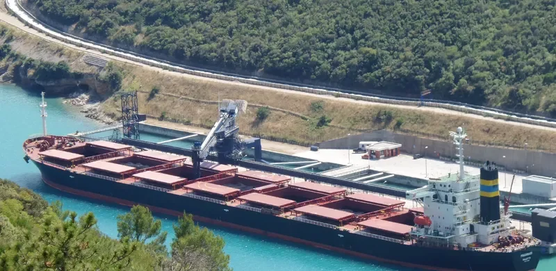 CHANG YANG JIN HE Bulk Carrier IMO 9223497 photo 8