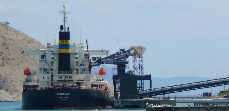 CHANG YANG JIN HE Bulk Carrier IMO 9223497 photo 10