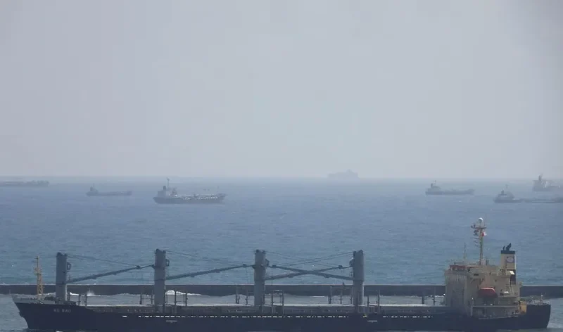 HO BAO Bulk Carrier IMO 9223631