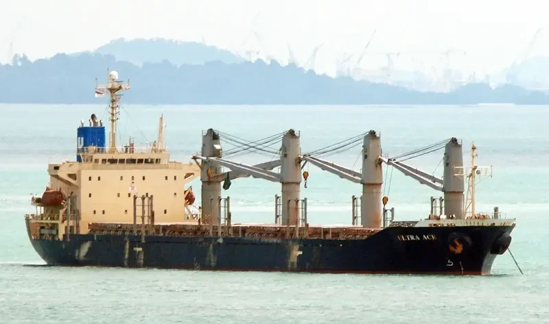 HO BAO Bulk Carrier IMO 9223631 photo 2
