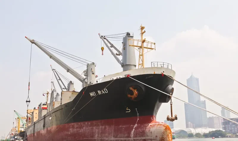 HO BAO Bulk Carrier IMO 9223631 photo 3