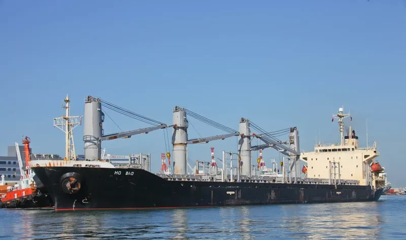 HO BAO Bulk Carrier IMO 9223631 photo 4