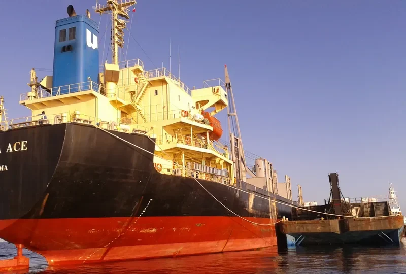 HO BAO Bulk Carrier IMO 9223631 photo 6