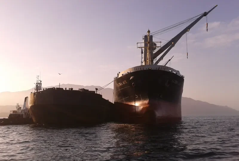 HO BAO Bulk Carrier IMO 9223631 photo 7