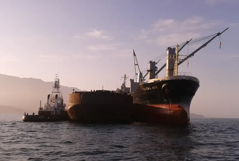 HO BAO Bulk Carrier IMO 9223631 photo 9