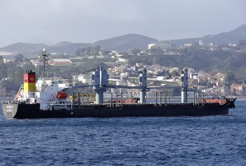 EYLEM Bulk Carrier IMO 9223643 photo 5