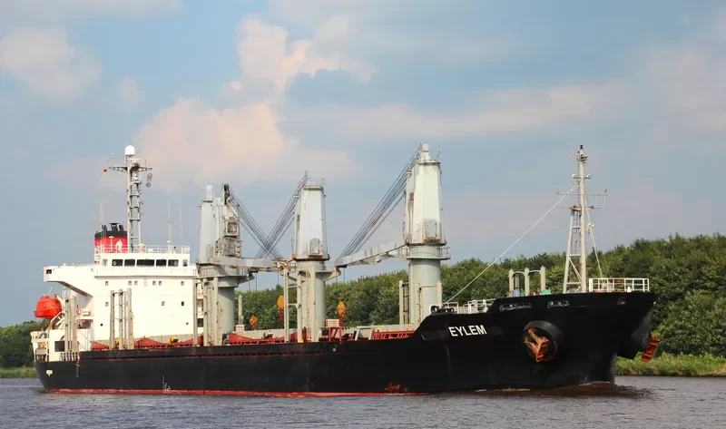 EYLEM Bulk Carrier IMO 9223643 photo 7