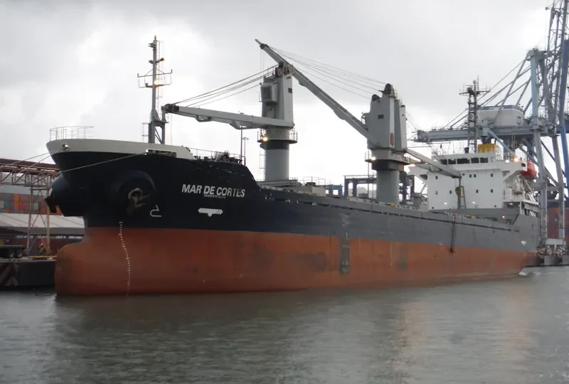 MAR DE CORTES Bulk Carrier IMO 9223667 photo 3