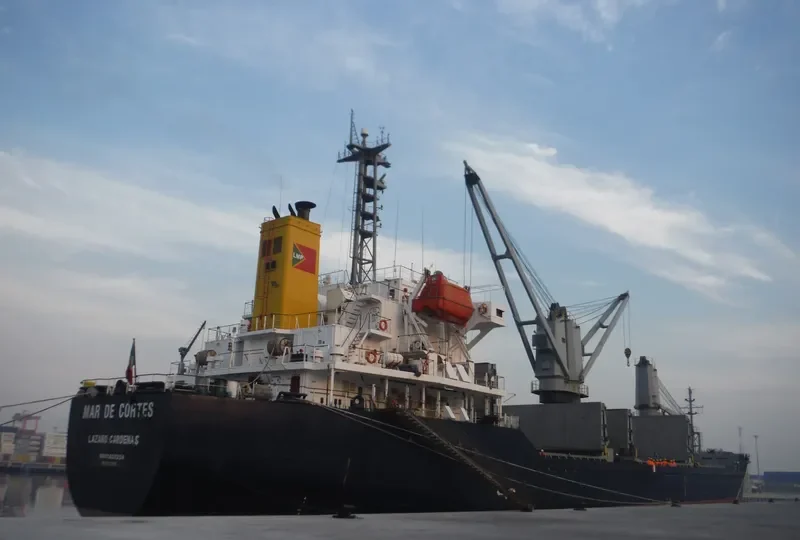 MAR DE CORTES Bulk Carrier IMO 9223667 photo 9