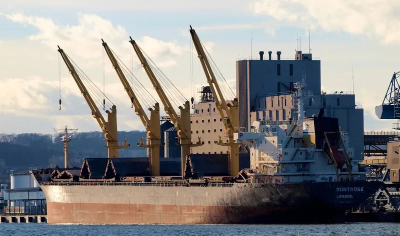 ROYAL STAR Bulk Carrier IMO 9223813