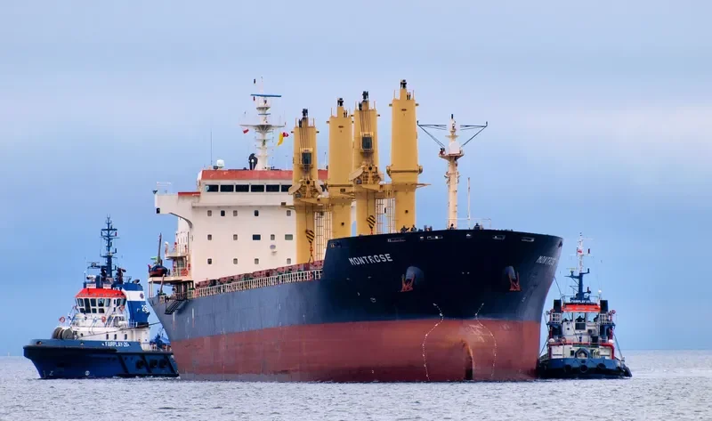 ROYAL STAR Bulk Carrier IMO 9223813 photo 2