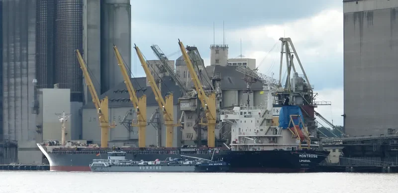 ROYAL STAR Bulk Carrier IMO 9223813 photo 6