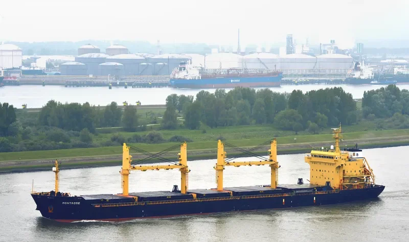 ROYAL STAR Bulk Carrier IMO 9223813 photo 9