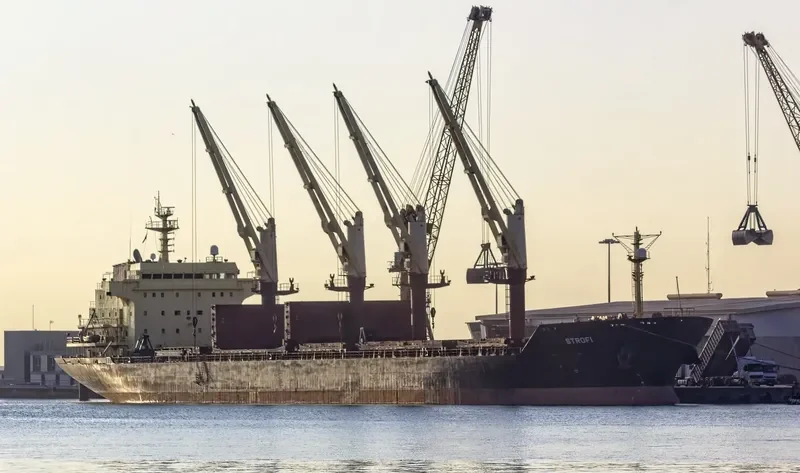 STROFI Bulk Carrier IMO 9223825 photo 2