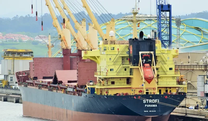 STROFI Bulk Carrier IMO 9223825 photo 8
