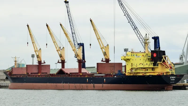 STROFI Bulk Carrier IMO 9223825 photo 10
