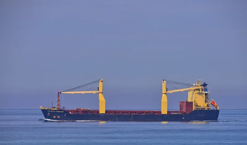 SSL SABARIMALAI General Cargo IMO 9223899 photo 6