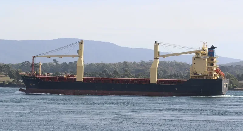 SSL SABARIMALAI General Cargo IMO 9223899 photo 8
