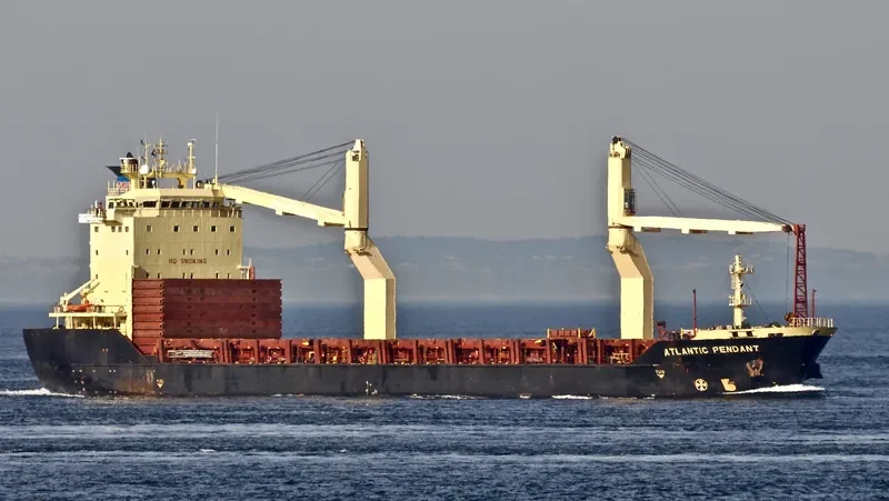 SSL SABARIMALAI General Cargo IMO 9223899 photo 10