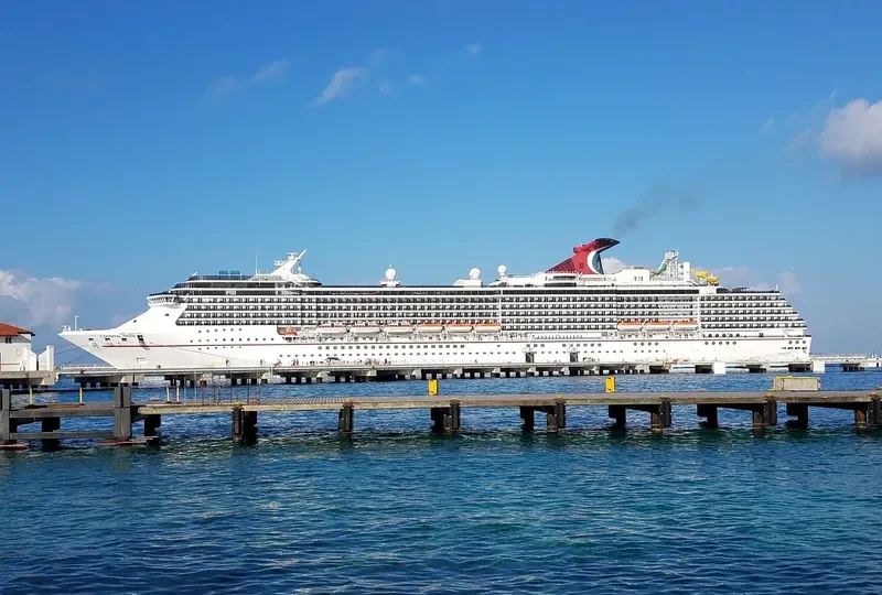 CARNIVAL PRIDE Passenger Ship IMO 9223954 photo 10