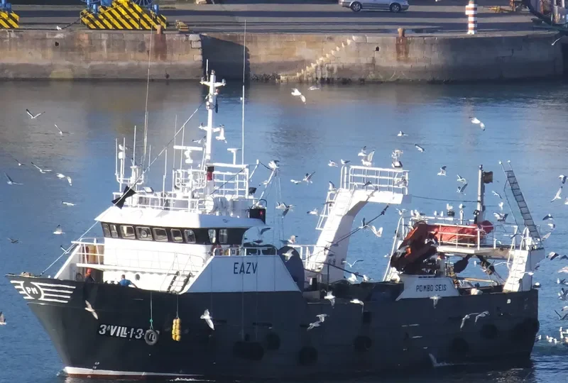 POMBO SEIS General Cargo IMO 9223966 photo 4
