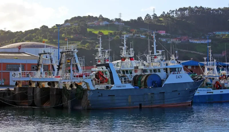 POMBO SEIS General Cargo IMO 9223966 photo 5