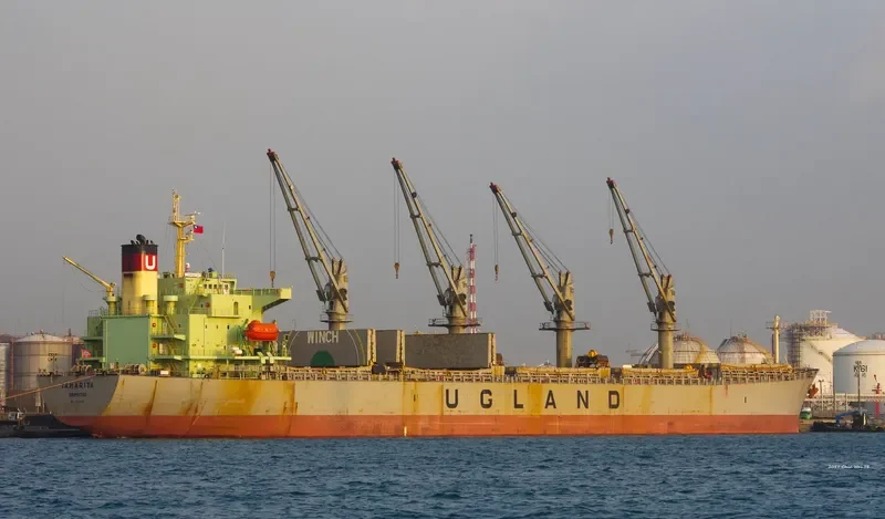 PACIFIC TAMARITA Bulk Carrier IMO 9223980 photo 2