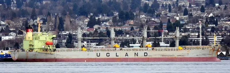 PACIFIC TAMARITA Bulk Carrier IMO 9223980 photo 3