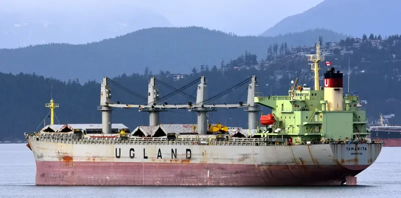 PACIFIC TAMARITA Bulk Carrier IMO 9223980 photo 5