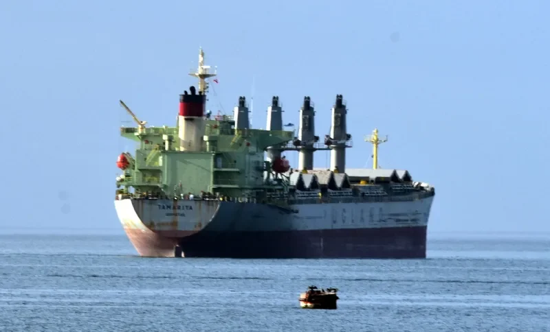 PACIFIC TAMARITA Bulk Carrier IMO 9223980 photo 7