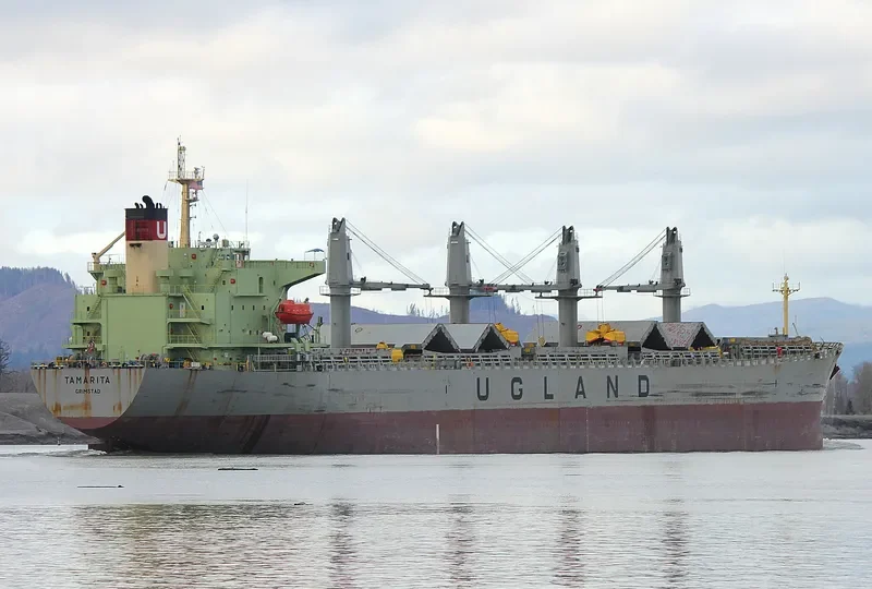 PACIFIC TAMARITA Bulk Carrier IMO 9223980 photo 8