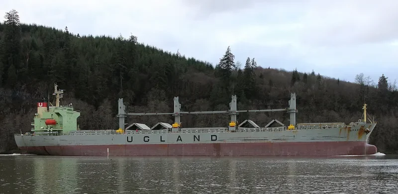 PACIFIC TAMARITA Bulk Carrier IMO 9223980 photo 10