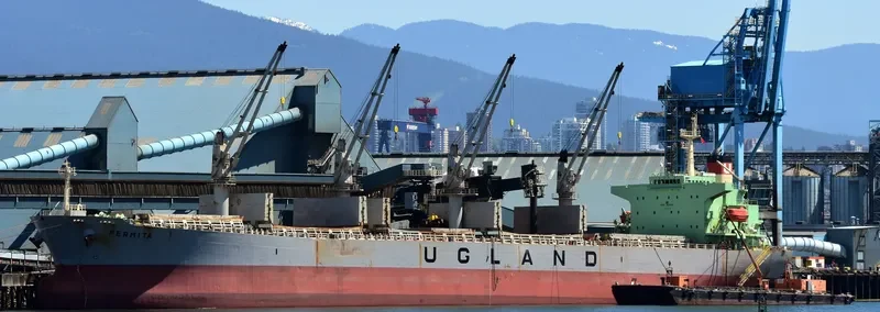 XIN HAI TONG 15 Bulk Carrier IMO 9223992 photo 4