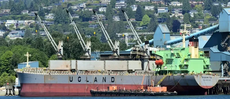 XIN HAI TONG 15 Bulk Carrier IMO 9223992 photo 5