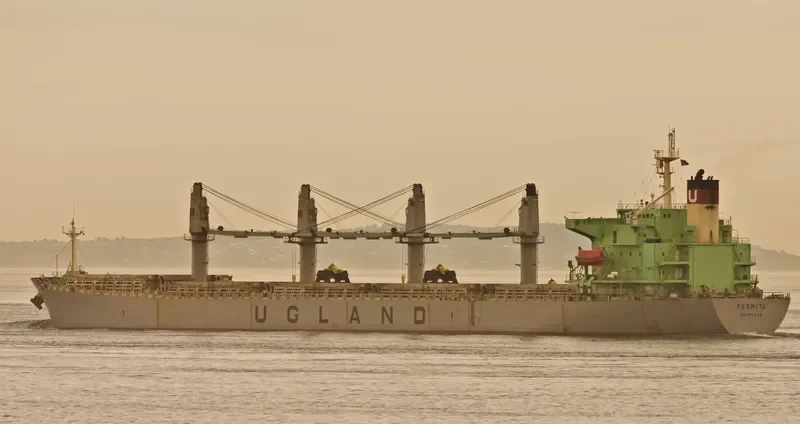 XIN HAI TONG 15 Bulk Carrier IMO 9223992 photo 7