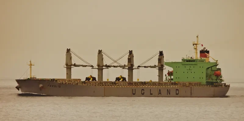 XIN HAI TONG 15 Bulk Carrier IMO 9223992 photo 9