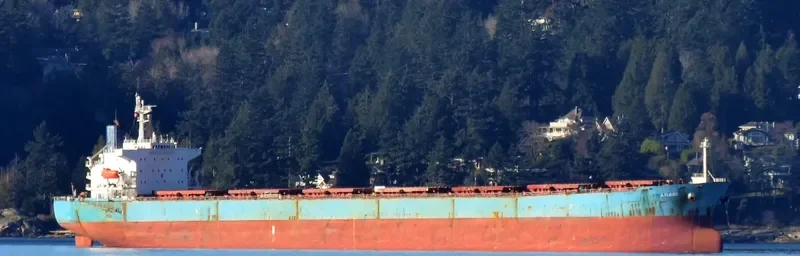 ANAIS Bulk Carrier IMO 9224025