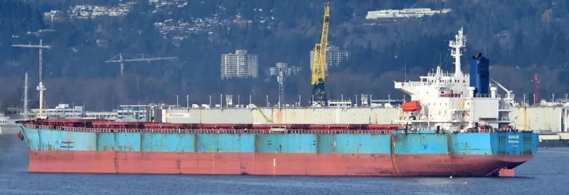 ANAIS Bulk Carrier IMO 9224025 photo 2