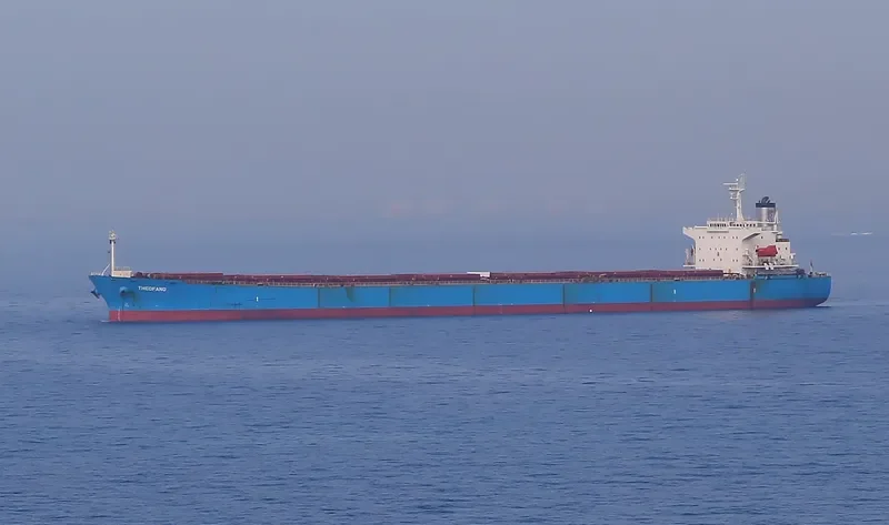 ANAIS Bulk Carrier IMO 9224025 photo 5