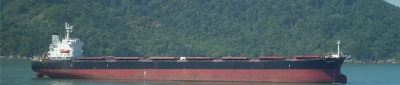 ANAIS Bulk Carrier IMO 9224025 photo 6