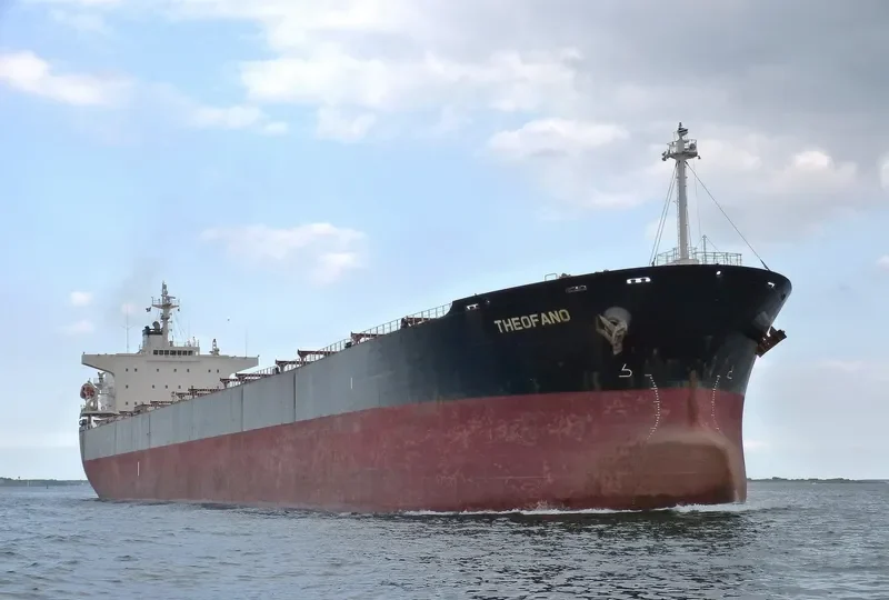 ANAIS Bulk Carrier IMO 9224025 photo 7