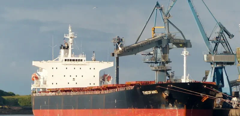 ANAIS Bulk Carrier IMO 9224025 photo 8