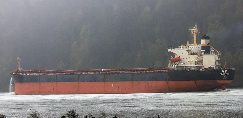 PRABHU PUNI Bulk Carrier IMO 9224037