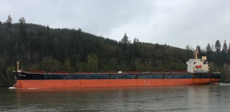 PRABHU PUNI Bulk Carrier IMO 9224037 photo 2
