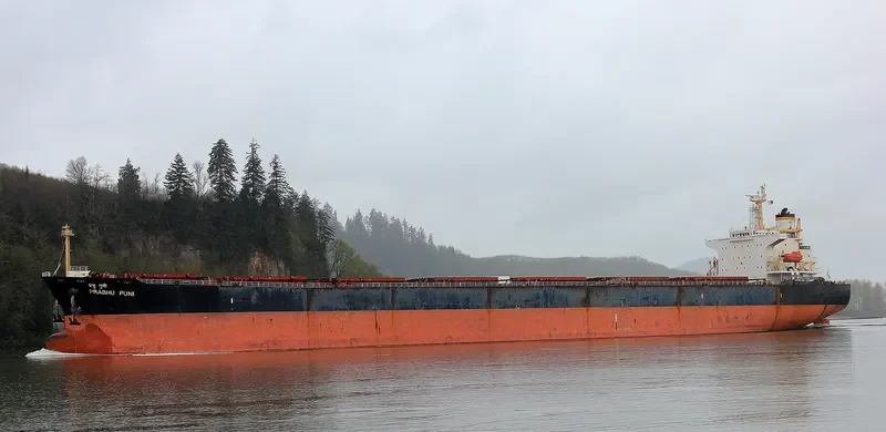 PRABHU PUNI Bulk Carrier IMO 9224037 photo 3