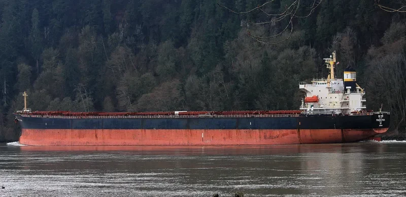 PRABHU PUNI Bulk Carrier IMO 9224037 photo 5