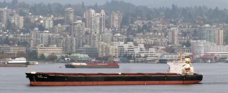 PRABHU PUNI Bulk Carrier IMO 9224037 photo 7