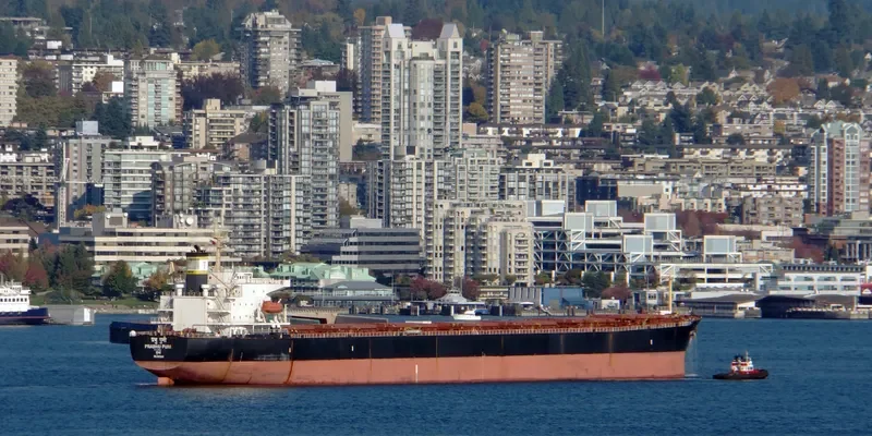 PRABHU PUNI Bulk Carrier IMO 9224037 photo 9