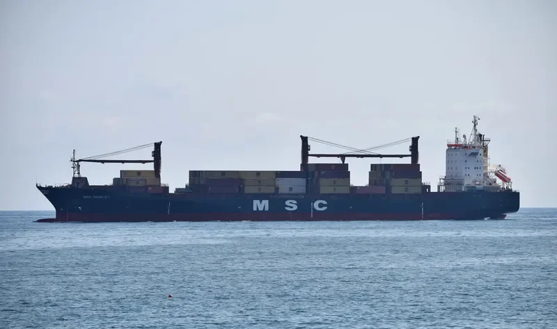 MSC SHIRLEY Container Ship IMO 9224049
