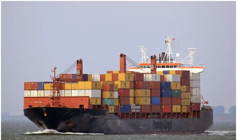 MSC SHIRLEY Container Ship IMO 9224049 photo 2